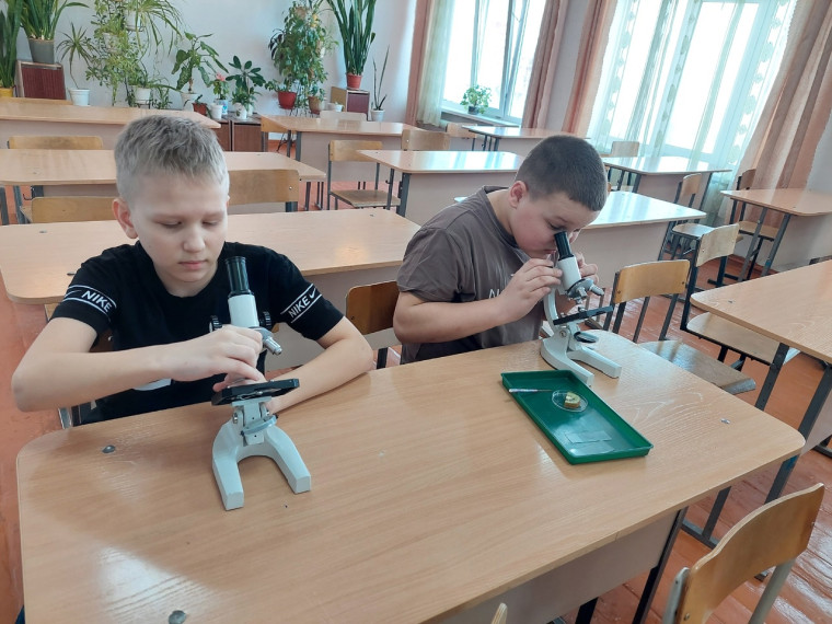 День науки.
