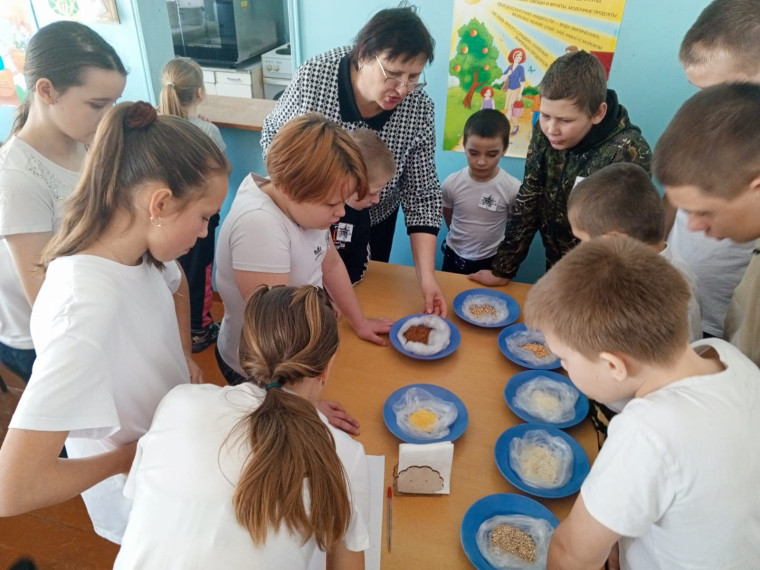Недельные новости Новокиевской ООШ.