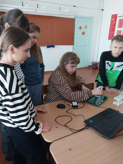 Цифровые помощники в образовательной практике педагогов школы.